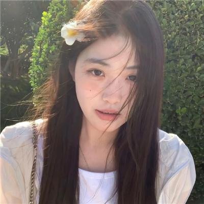 梅子鸡之味