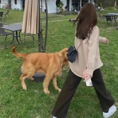 我敌人的敌人
